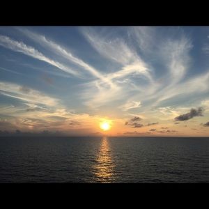 Meet your Posher, Sophia